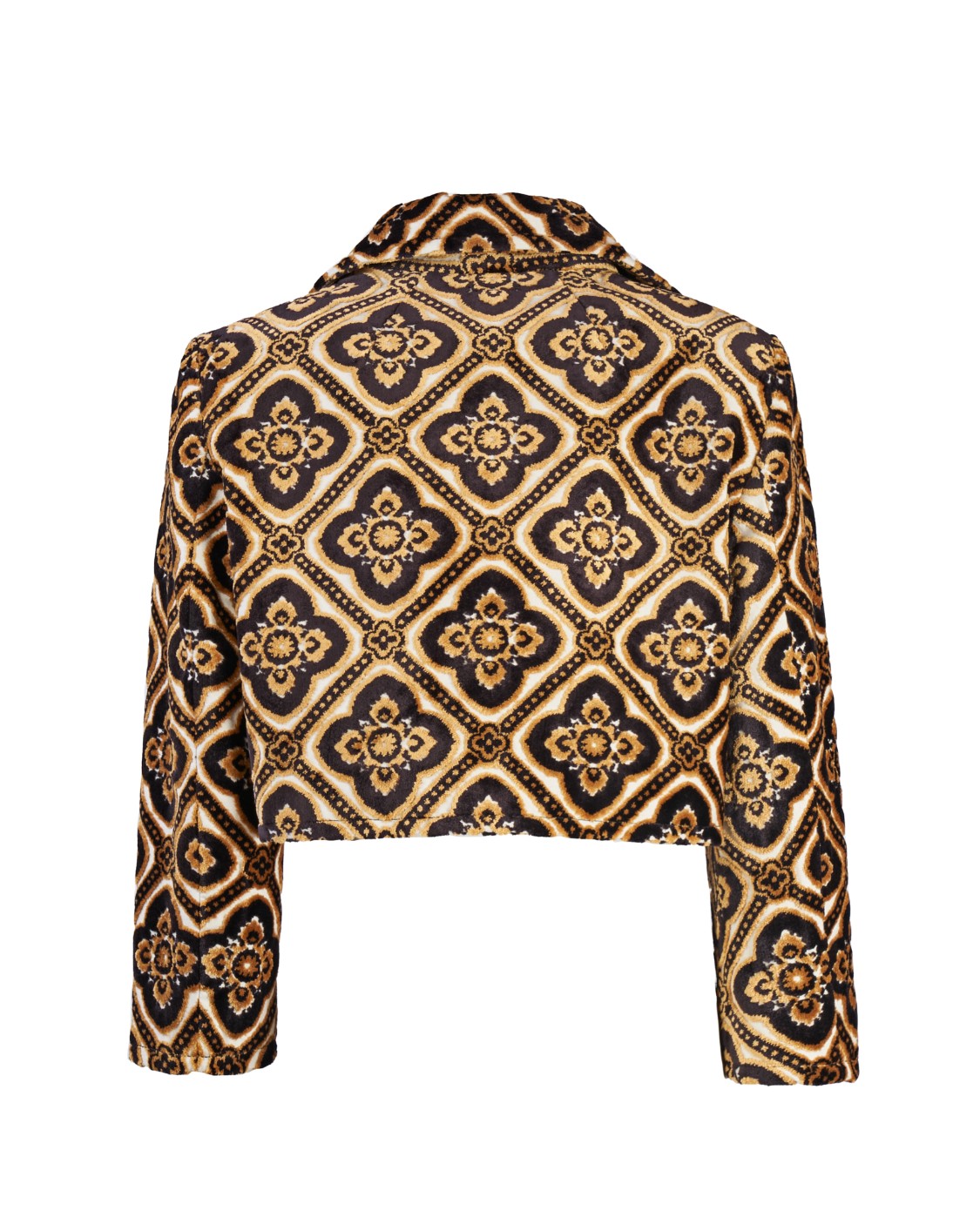 shop ETRO  Giacca: Etro giacca cropped in velluto.
Giacca cropped con maxi colletto realizzata in velluto jacquard e decorata da motivi medaglione.
Fodera jacquard a righe.
Esterno: 53% viscosa, 47% cotone
Vestibilità corta.
Maniche lunghe.
Fabbricato in Italia.. 11501 0563-0001 number 4362582